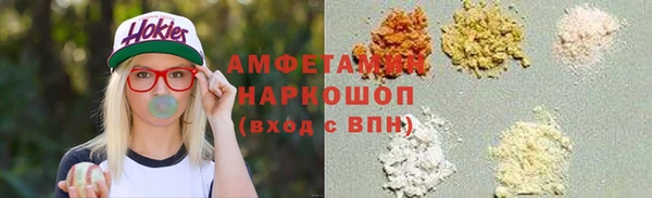 гидра Карпинск