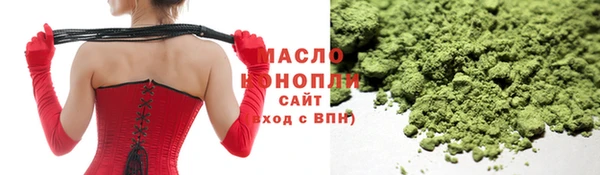 тгк Каменногорск