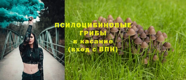 тгк Каменногорск