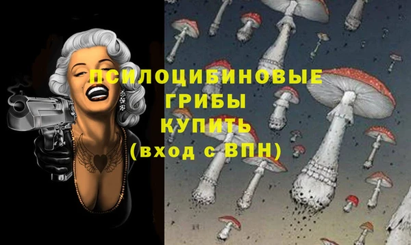 тгк Каменногорск