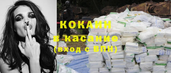 гидра Карпинск