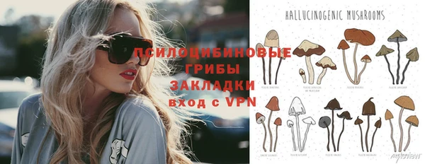 тгк Каменногорск