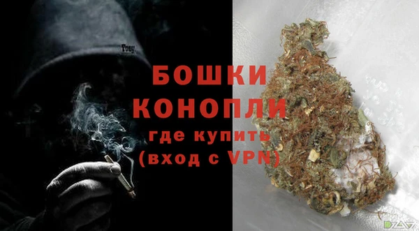 дмт Касимов